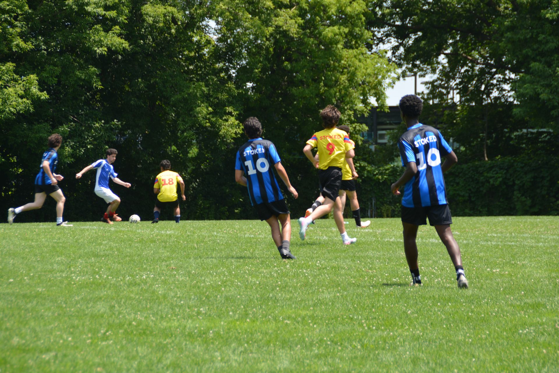 STKD-W4-014
